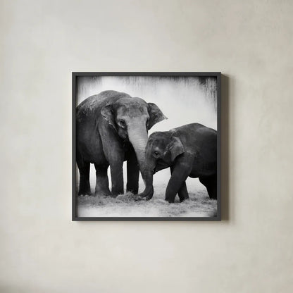 Elephant III No Border by Debra Van Swearingen. Shown in a sleek black glass frame for a contemporary gallery look. Available as an archival giclee rolled canvas, fine art paper, or poster print. SKU 41816a.