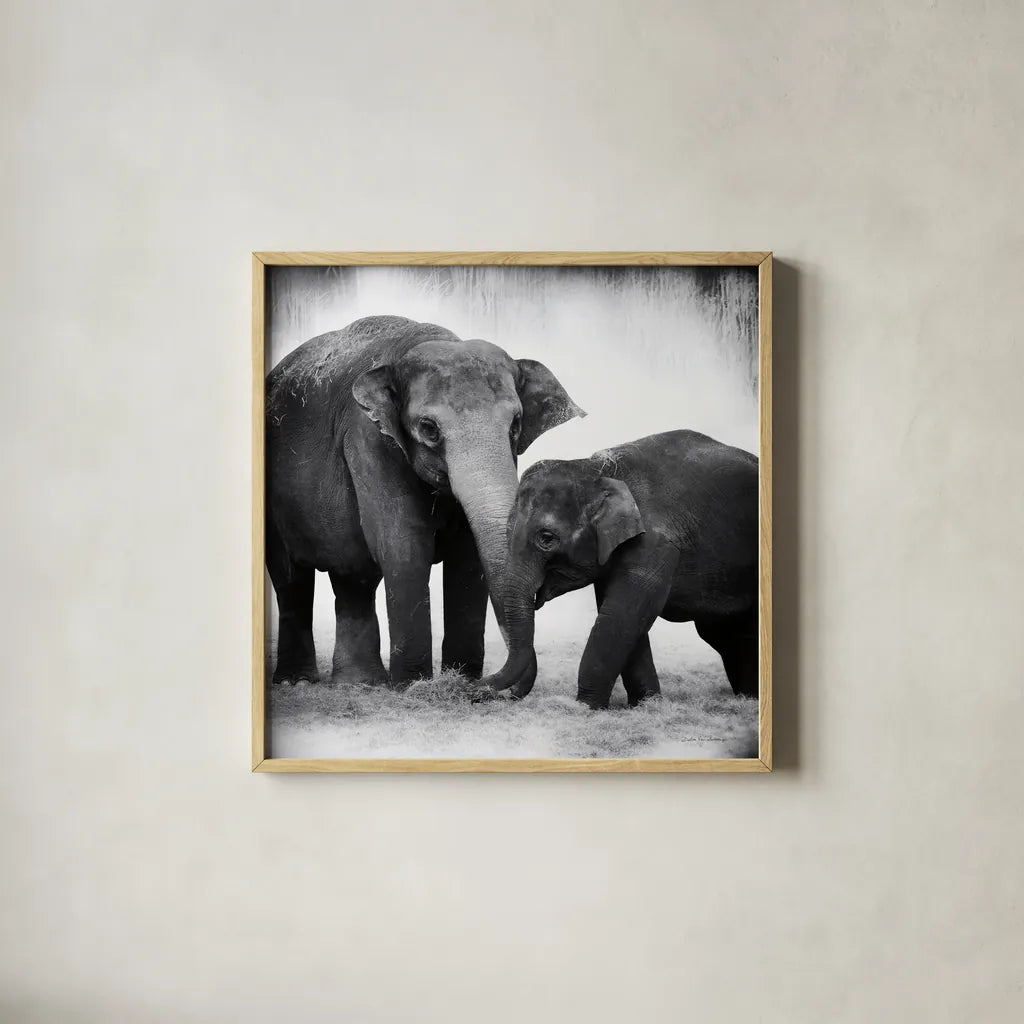 Elephant III No Border by Debra Van Swearingen. Shown in a natural wood glass frame for a timeless modern aesthetic. Available as an archival giclee rolled canvas, fine art paper, or poster print. SKU 41816a.
