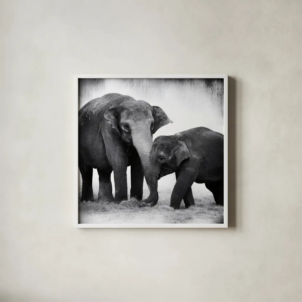 Elephant III No Border by Debra Van Swearingen. Shown in a crisp white glass frame for a clean and minimalist style. Available as an archival giclee rolled canvas, fine art paper, or poster print. SKU 41816a.