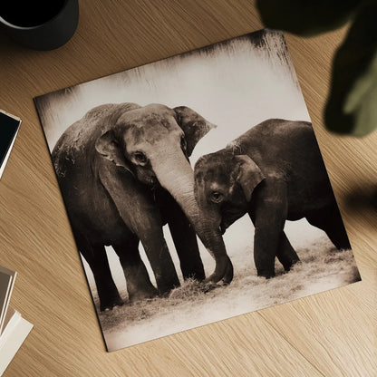 Elephant III Sepia by Debra Van Swearingen. Shown as a detailed flat fine art print, highlighting archival giclee quality. Available as an archival giclee rolled canvas, fine art paper, or poster print. SKU 46877a.