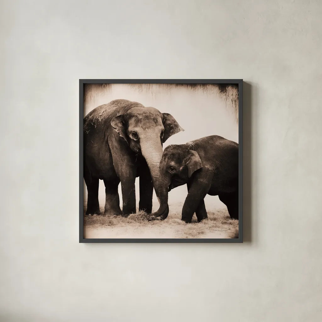 Elephant III Sepia by Debra Van Swearingen. Shown in a sleek black glass frame for a contemporary gallery look. Available as an archival giclee rolled canvas, fine art paper, or poster print. SKU 46877a.