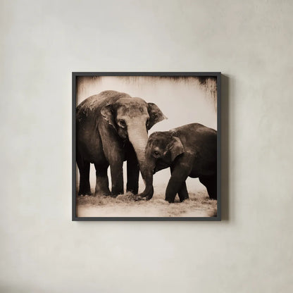 Elephant III Sepia by Debra Van Swearingen. Shown in a sleek black glass frame for a contemporary gallery look. Available as an archival giclee rolled canvas, fine art paper, or poster print. SKU 46877a.
