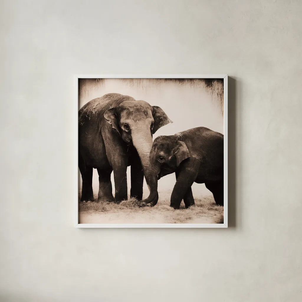 Elephant III Sepia by Debra Van Swearingen. Shown in a crisp white glass frame for a clean and minimalist style. Available as an archival giclee rolled canvas, fine art paper, or poster print. SKU 46877a.