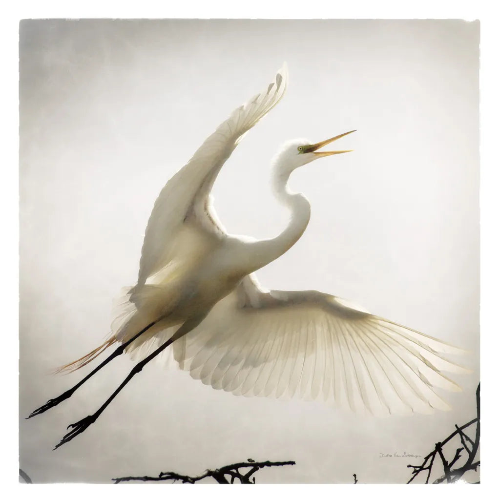 Emergence by Debra Van Swearingen. SKU 63781a. Archival Giclee Fine art print for wall decor.