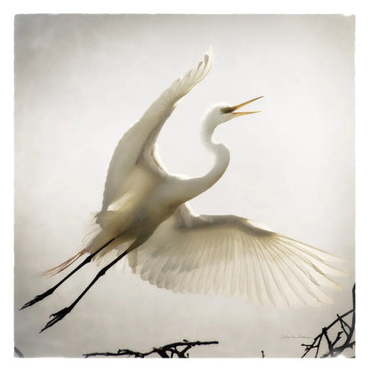 Emergence by Debra Van Swearingen. SKU 63781a. Archival Giclee Fine art print for wall decor.