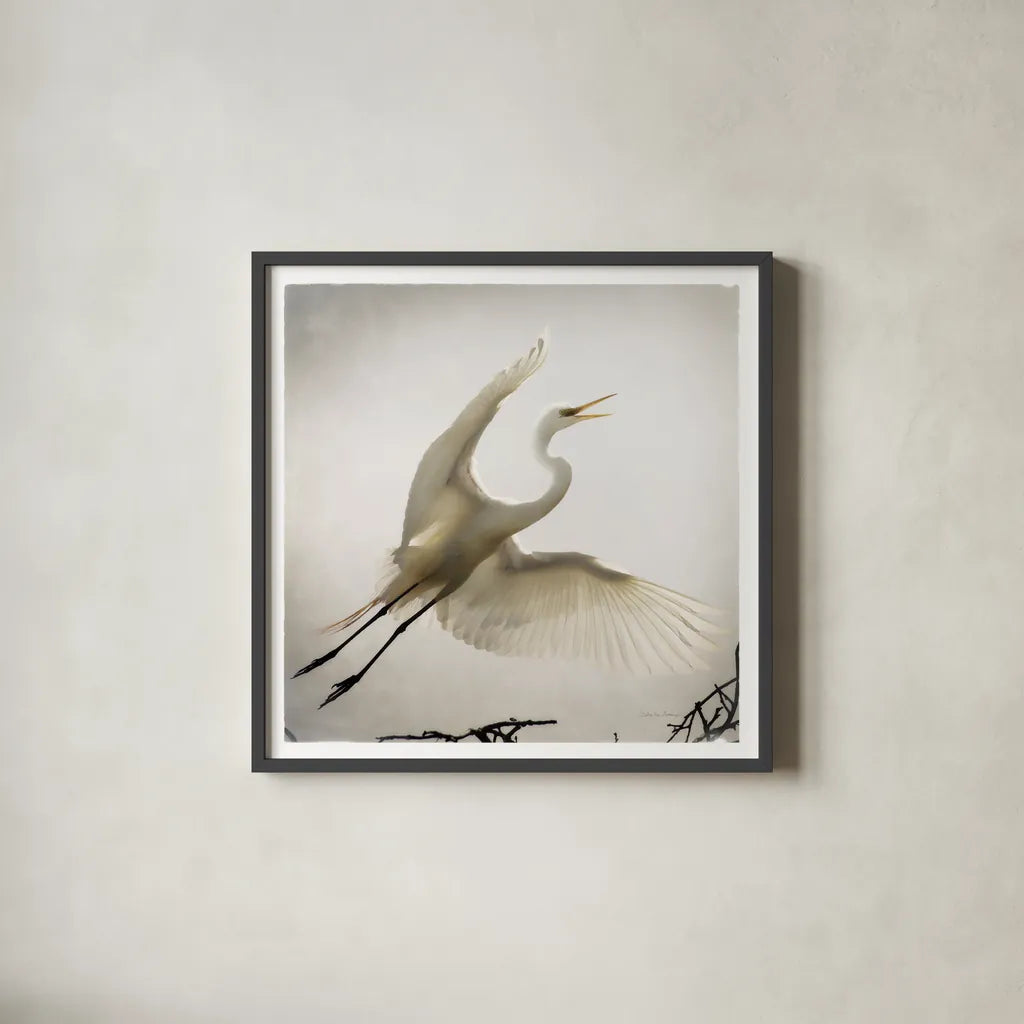 Emergence by Debra Van Swearingen. Shown in a sleek black glass frame for a contemporary gallery look. Available as an archival giclee rolled canvas, fine art paper, or poster print. SKU 63781a.
