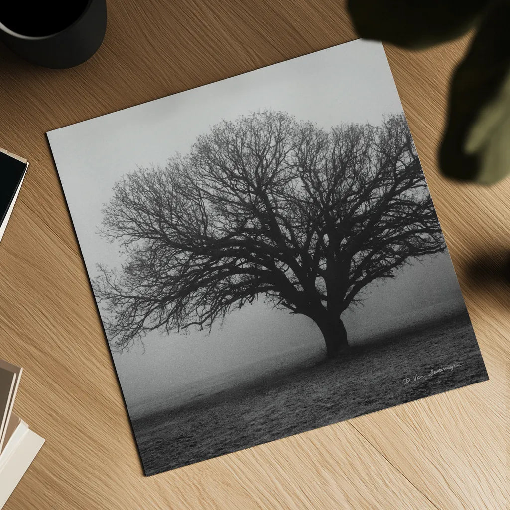 Evening Mist Crop by Debra Van Swearingen. Shown as a detailed flat fine art print, highlighting archival giclee quality. Available as an archival giclee rolled canvas, fine art paper, or poster print. SKU 5825a.