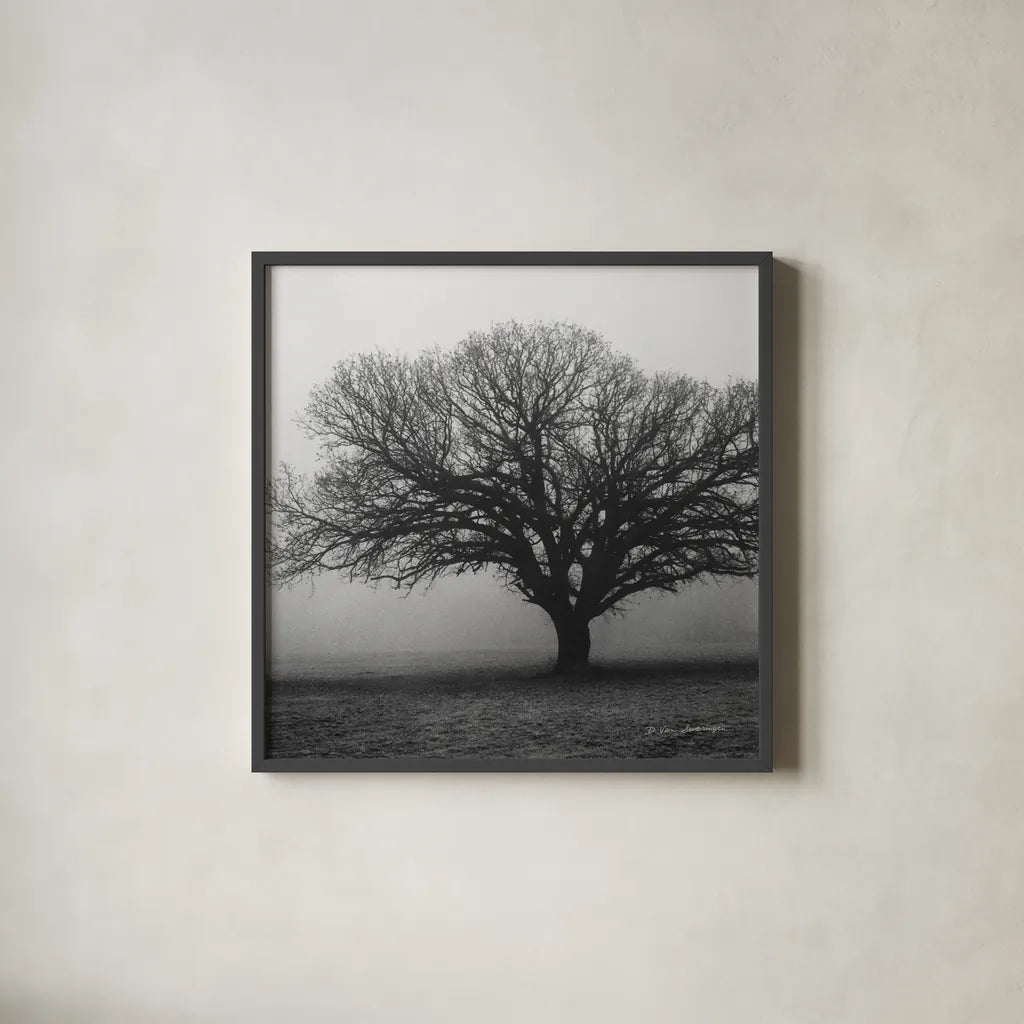 Evening Mist Crop by Debra Van Swearingen. Shown in a sleek black glass frame for a contemporary gallery look. Available as an archival giclee rolled canvas, fine art paper, or poster print. SKU 5825a.