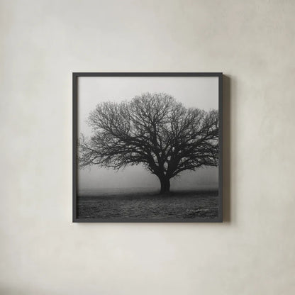 Evening Mist Crop by Debra Van Swearingen. Shown in a sleek black glass frame for a contemporary gallery look. Available as an archival giclee rolled canvas, fine art paper, or poster print. SKU 5825a.