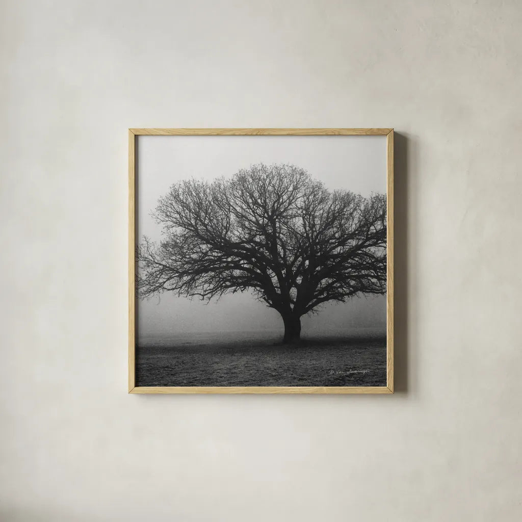 Evening Mist Crop by Debra Van Swearingen. Shown in a natural wood glass frame for a timeless modern aesthetic. Available as an archival giclee rolled canvas, fine art paper, or poster print. SKU 5825a.