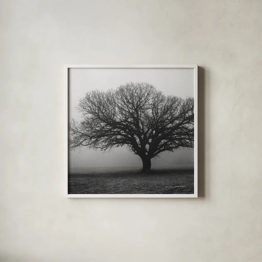 Evening Mist Crop by Debra Van Swearingen. Shown in a crisp white glass frame for a clean and minimalist style. Available as an archival giclee rolled canvas, fine art paper, or poster print. SKU 5825a.