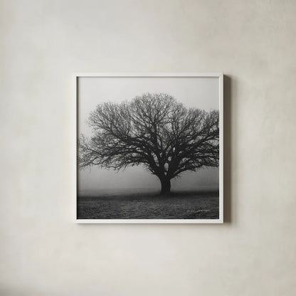 Evening Mist Crop by Debra Van Swearingen. Shown in a crisp white glass frame for a clean and minimalist style. Available as an archival giclee rolled canvas, fine art paper, or poster print. SKU 5825a.