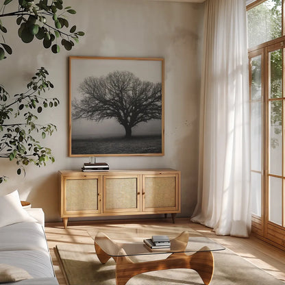Evening Mist Crop by Debra Van Swearingen. Shown in a natural wood frame in a cozy modern living room. Available as an archival giclee rolled canvas, fine art paper, or poster print. SKU 5825a.