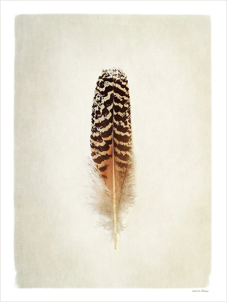 Feather I by Debra Van Swearingen