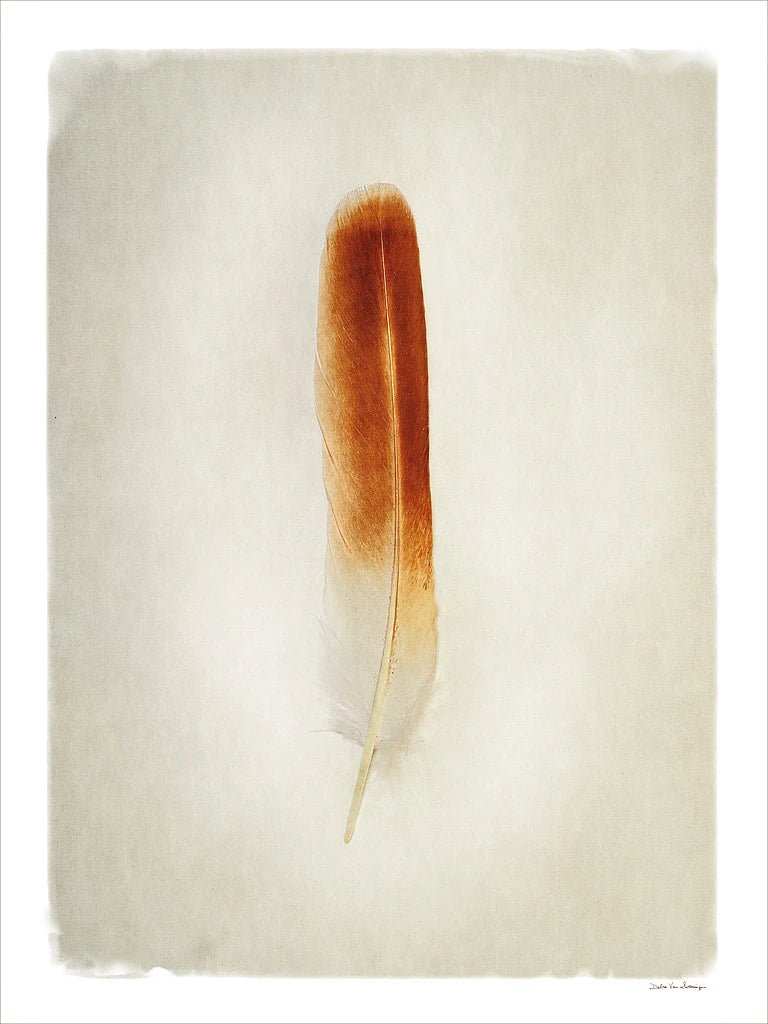 Feather II by Debra Van Swearingen