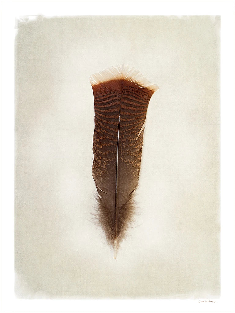 Feather III by Debra Van Swearingen