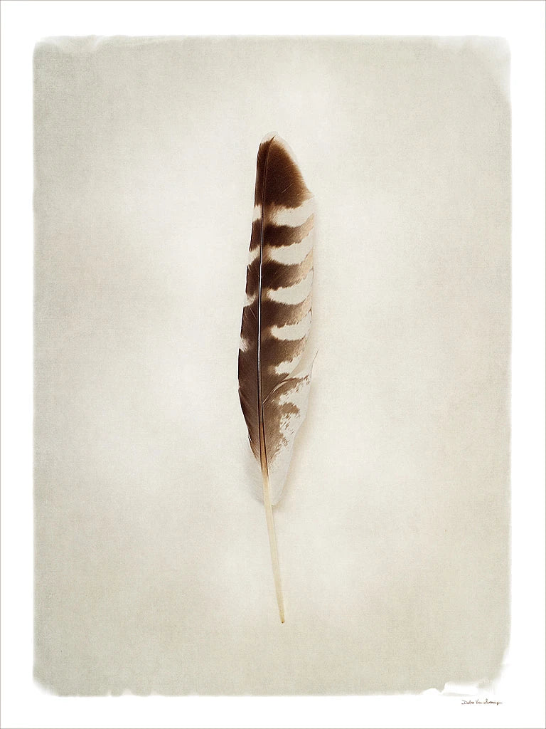 Feather IV by Debra Van Swearingen