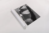 Feather Shadow I by Debra Van Swearingen. shown as a rolled paper print. Available as archival giclee rolled canvas, fine art paper, or poster print. SKU 55154h.
