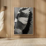 Feather Shadow I by Debra Van Swearingen. shown as over sized large wall art. Available as an archival giclee rolled canvas, fine art paper, or poster print. SKU 55154h.