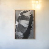 Feather Shadow I by Debra Van Swearingen. shown as a paper print in a natural frame. Available as a archival giclee rolled canvas, fine art paper, or poster print. SKU 55154h.