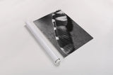 Feather Shadow II by Debra Van Swearingen. shown as a rolled paper print. Available as archival giclee rolled canvas, fine art paper, or poster print. SKU 55155h.