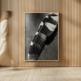 Feather Shadow II by Debra Van Swearingen. shown as over sized large wall art. Available as an archival giclee rolled canvas, fine art paper, or poster print. SKU 55155h.