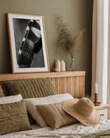 Feather Shadow II by Debra Van Swearingen. shown as a paper print in a natural frame. Available as a archival giclee rolled canvas, fine art paper, or poster print. SKU 55155h.