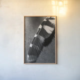 Feather Shadow II by Debra Van Swearingen. shown as a paper print in a natural frame. Available as a archival giclee rolled canvas, fine art paper, or poster print. SKU 55155h.