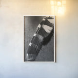 Feather Shadow II by Debra Van Swearingen. shown as a paper print in a white frame. Available as a archival giclee rolled canvas, fine art paper, or poster print. SKU 55155h.