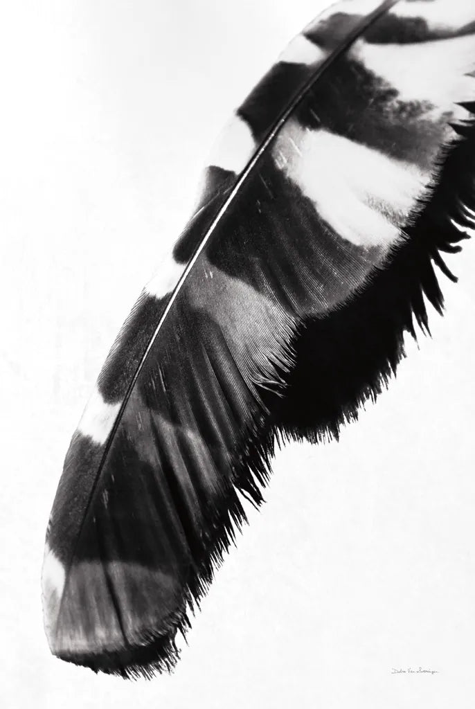 Feather Shadow II White by Debra Van Swearingen. SKU 57578h. Archival Giclee Fine art print for wall decor.