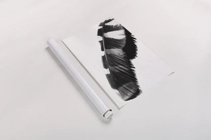 Feather Shadow II White by Debra Van Swearingen. shown as a rolled paper print. Available as archival giclee rolled canvas, fine art paper, or poster print. SKU 57578h.