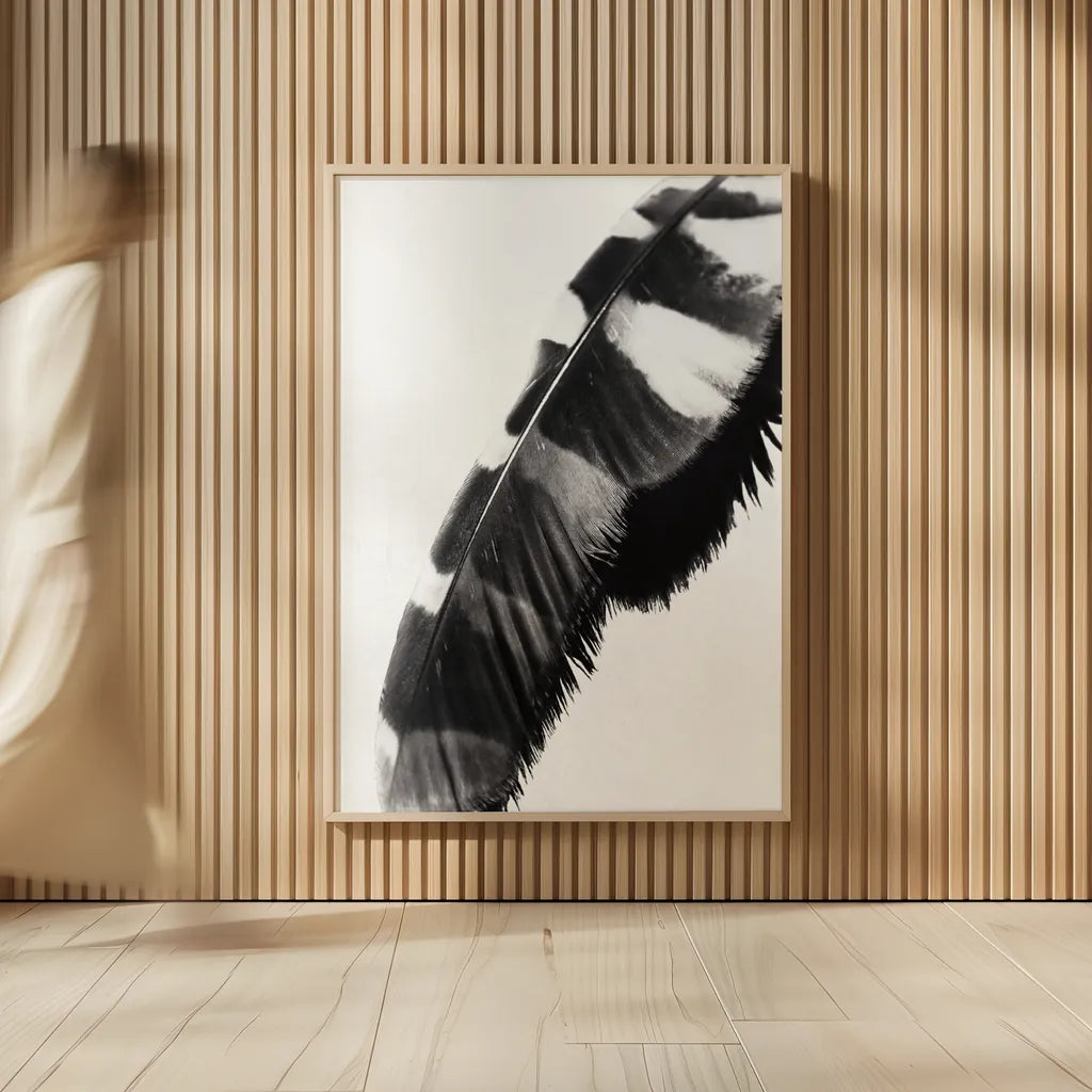 Feather Shadow II White by Debra Van Swearingen. shown as over sized large wall art. Available as an archival giclee rolled canvas, fine art paper, or poster print. SKU 57578h.