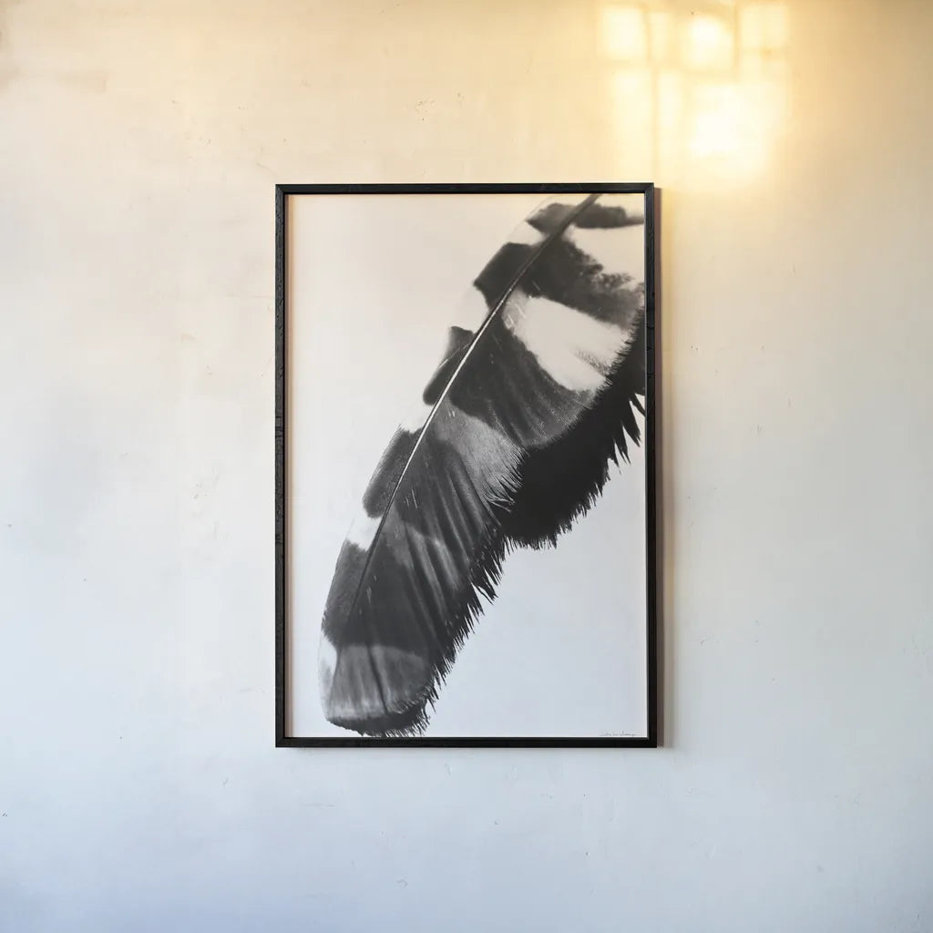 Feather Shadow II White by Debra Van Swearingen. shown as a paper print in a black flame. Available as a archival giclee rolled canvas, fine art paper, or poster print. SKU 57578h.