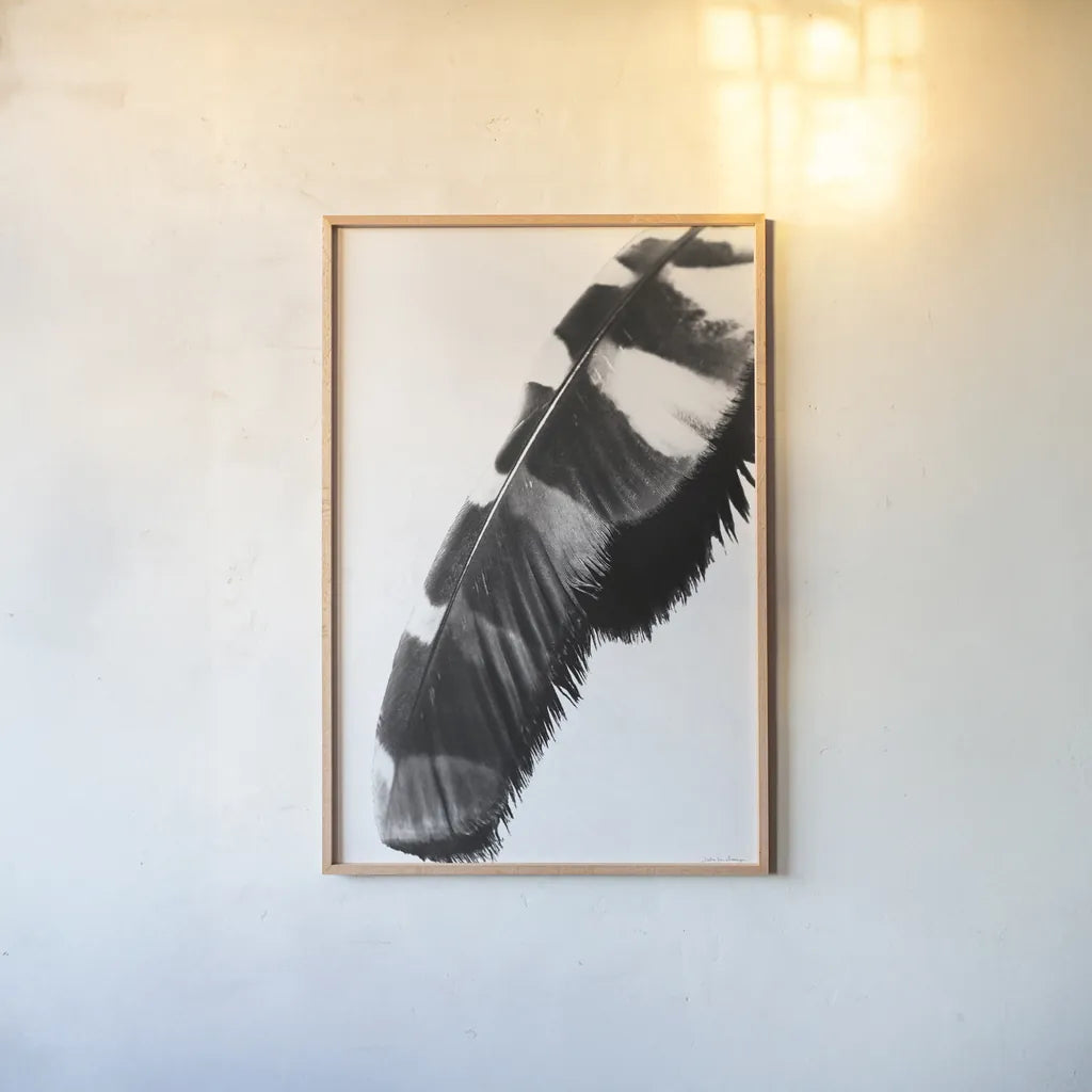 Feather Shadow II White by Debra Van Swearingen. shown as a paper print in a natural frame. Available as a archival giclee rolled canvas, fine art paper, or poster print. SKU 57578h.