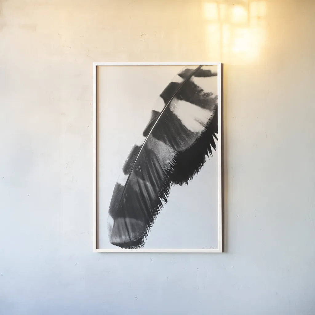 Feather Shadow II White by Debra Van Swearingen. shown as a paper print in a white frame. Available as a archival giclee rolled canvas, fine art paper, or poster print. SKU 57578h.