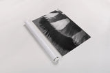 Feather Shadow III by Debra Van Swearingen. shown as a rolled paper print. Available as archival giclee rolled canvas, fine art paper, or poster print. SKU 55156h.