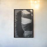 Feather Shadow III by Debra Van Swearingen. shown as a paper print in a black flame. Available as a archival giclee rolled canvas, fine art paper, or poster print. SKU 55156h.