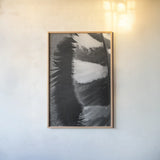 Feather Shadow III by Debra Van Swearingen. shown as a paper print in a natural frame. Available as a archival giclee rolled canvas, fine art paper, or poster print. SKU 55156h.