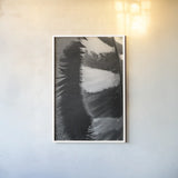 Feather Shadow III by Debra Van Swearingen. shown as a paper print in a white frame. Available as a archival giclee rolled canvas, fine art paper, or poster print. SKU 55156h.