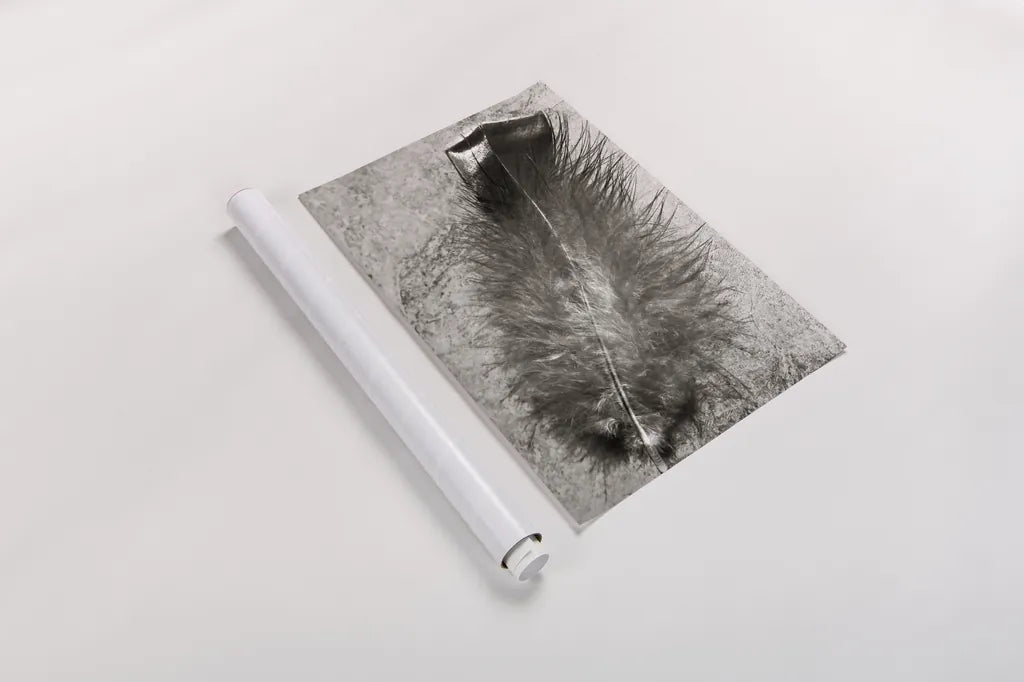 Feather Shadow IV by Debra Van Swearingen. shown as a rolled paper print. Available as archival giclee rolled canvas, fine art paper, or poster print. SKU 55157h.