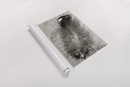 Feather Shadow IV by Debra Van Swearingen. shown as a rolled paper print. Available as archival giclee rolled canvas, fine art paper, or poster print. SKU 55157h.