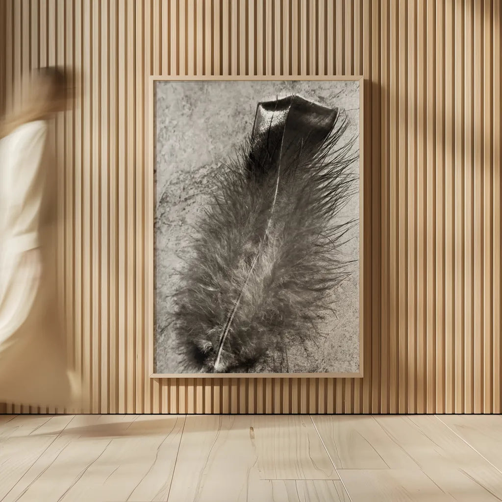 Feather Shadow IV by Debra Van Swearingen. shown as over sized large wall art. Available as an archival giclee rolled canvas, fine art paper, or poster print. SKU 55157h.