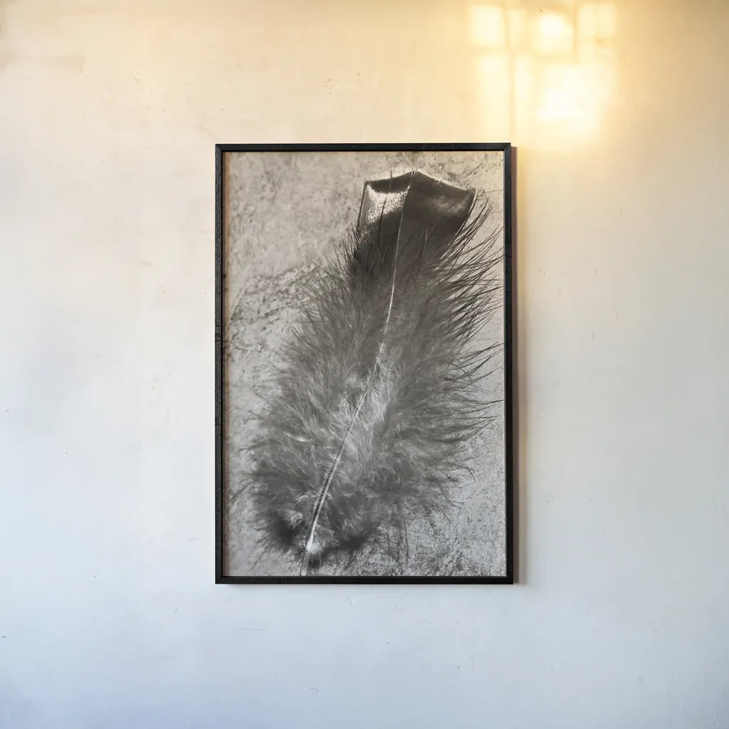 Feather Shadow IV by Debra Van Swearingen. shown as a paper print in a black flame. Available as a archival giclee rolled canvas, fine art paper, or poster print. SKU 55157h.