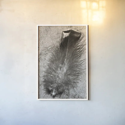 Feather Shadow IV by Debra Van Swearingen. shown as a paper print in a white frame. Available as a archival giclee rolled canvas, fine art paper, or poster print. SKU 55157h.