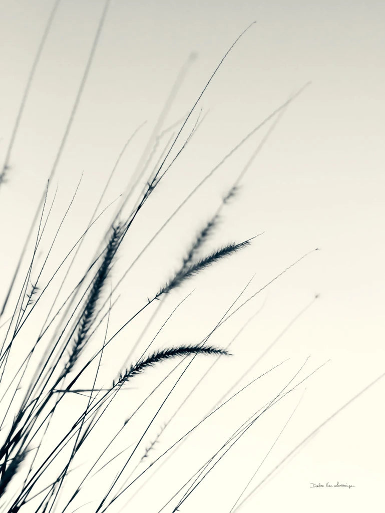 Field Grasses I by Debra Van Swearingen