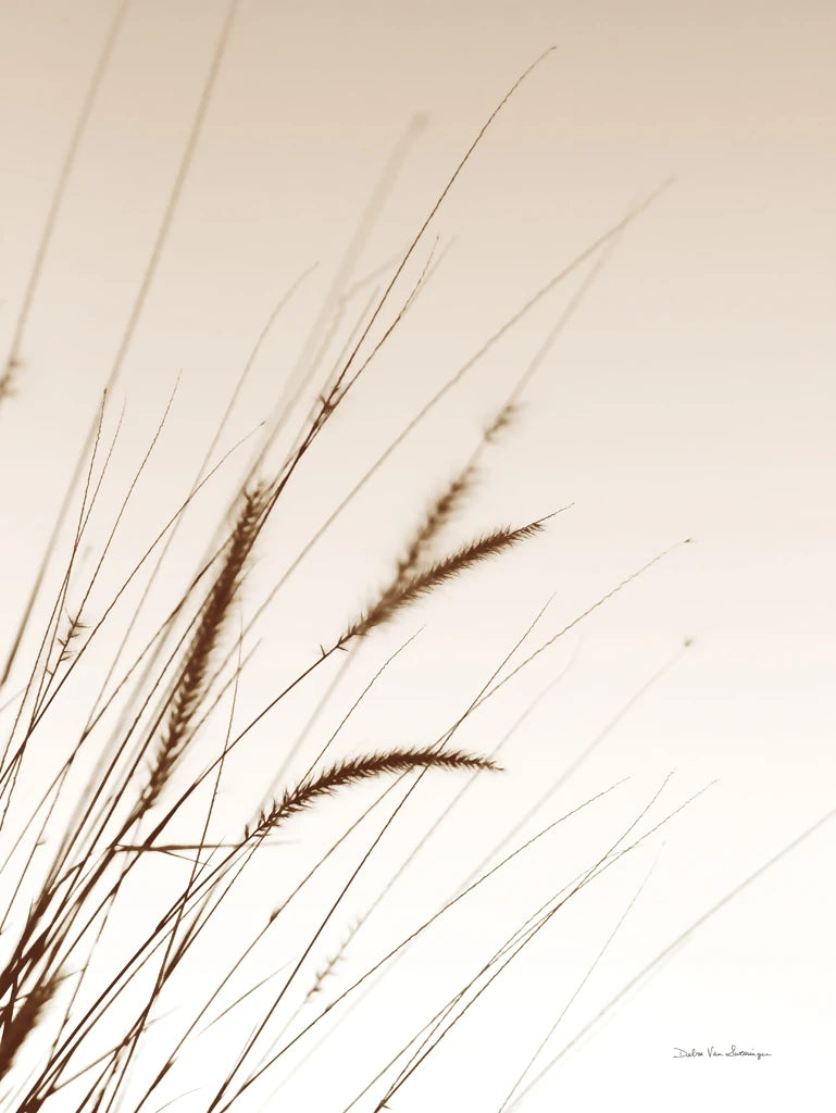 Field Grasses I Sepia by Debra Van Swearingen