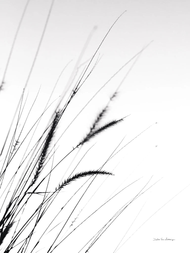 Field Grasses I White by Debra Van Swearingen