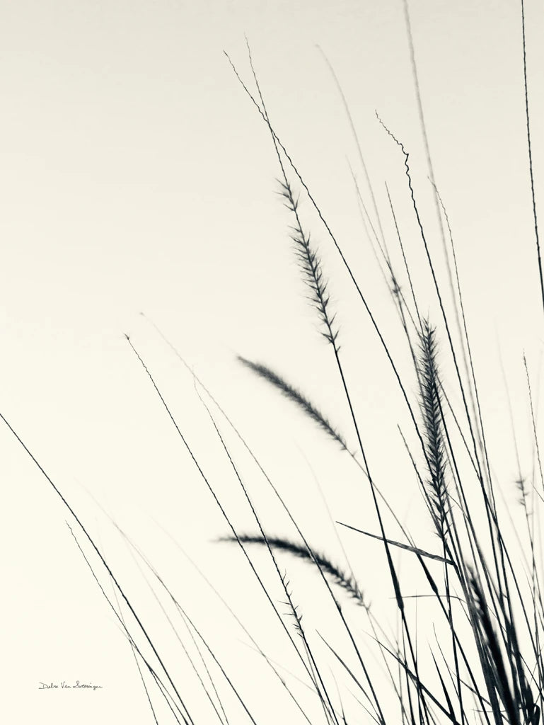 Field Grasses II by Debra Van Swearingen