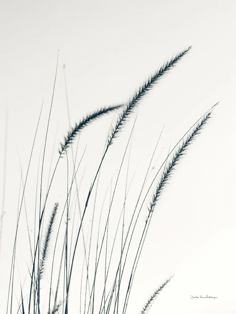 Field Grasses III by Debra Van Swearingen