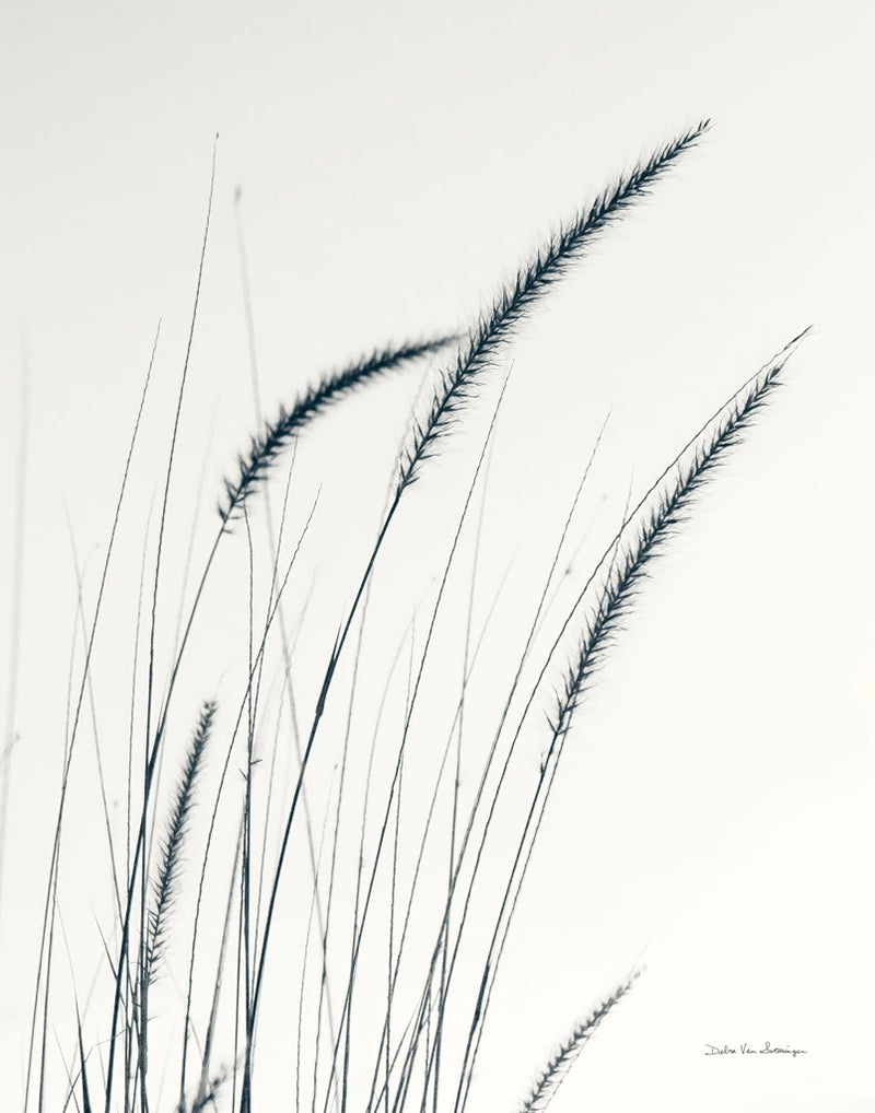 Field Grasses III Crop by Debra Van Swearingen